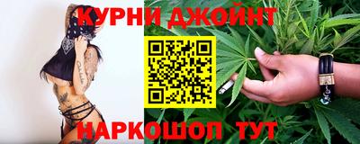сатива Будённовск