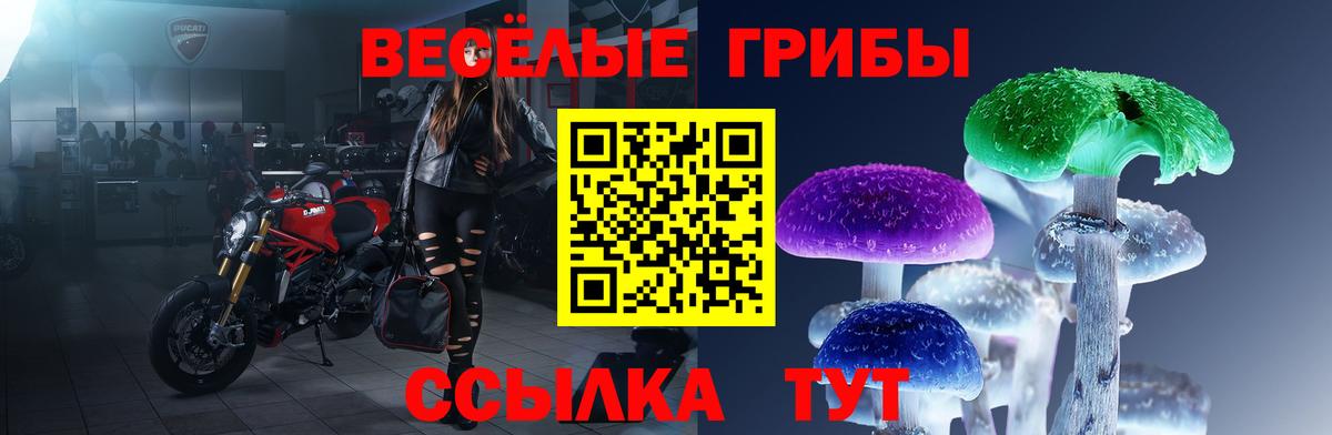 купить  сайты  Галлюциногенные грибы MAGIC MUSHROOMS  Галлюциногенные грибы прущие грибы  Вход с VPN  Обь 
